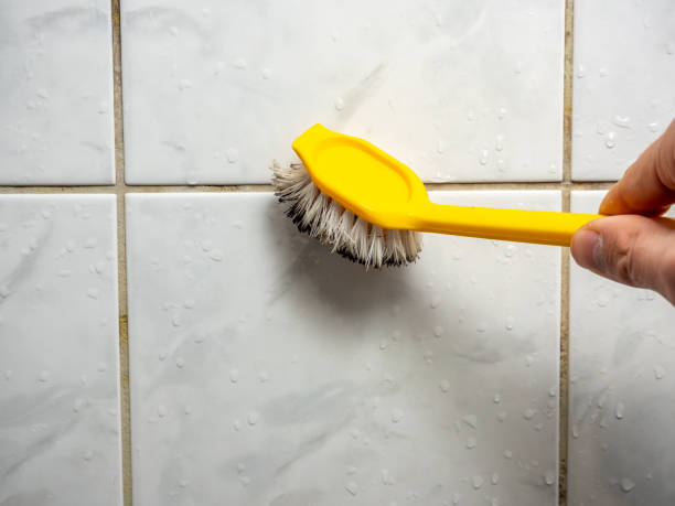 Best Mold Remediation  in Burnt Store Marina, FL