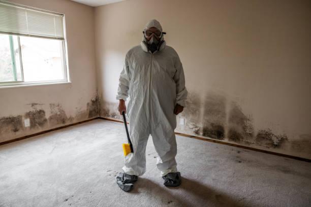 Best Emergency Mold Removal  in Burnt Store Marina, FL